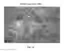 Fig. 15 - INSECTICIDAL COMPOSITIONS