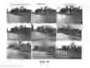 Fig. 17 - INSECTICIDAL COMPOSITIONS