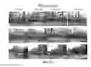 Fig. 22 - INSECTICIDAL COMPOSITIONS
