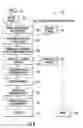 Fig. 07 - EUGLENA DERIVED ANIMAL FEED COMPOSITION
