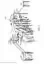 Fig. 07 - Popcorn machines having process chambers of increasing volume, and associated systems and methods