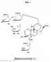 Fig. 02 - Glucosyl Rebaudioside C