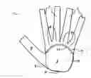 Fig. 01 - A Protective Glove