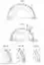 Fig. 02 - Helmet