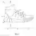 Fig. 02 - Footwear article including circular knit structures