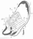 Fig. 02 - Article of footwear incorporating a knitted component
