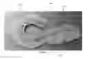 Fig. 02 - FOOTWARE SYSTEM