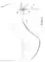 Fig. 08 - HIGH HEEL SHOE HEEL CONSTRUCTION