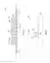 Fig. 30 - Fastening tape