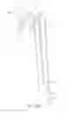 Fig. 08 - Multipurpose walking device