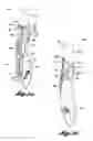 Fig. 08 - Adjustable cosmetic applicator
