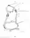 Fig. 05 - Carrier frame for a rucksack or equivalent