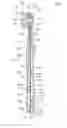 Fig. 01 - Fluid supply apparatus and personal care implement containing the same