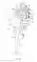 Fig. 07 - Grasping section of an endoscope