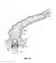 Fig. 32 - FITTING FOR A MEDICAL SCOPING DEVICE