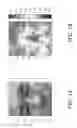 Fig. 02 - Brain activity estimation device
