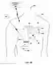 Fig. 03 - Exercise triggered cardiovascular pressure measurement
