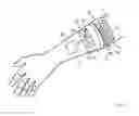 Fig. 02 - Powered, multi-functional limb movement auxiliary device, particularly prosthesis and movement-assisting orthosis, with combined estimation regimes