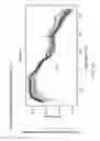 Fig. 10 - Ingestible Device and Associated Methods