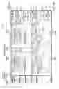 Fig. 46 - Tablet ultrasound system