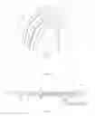 Fig. 13 - Prostate biopsy needle