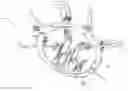 Fig. 01 - Surgical retractor
