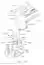 Fig. 40 - Articulation lock arrangements for locking an end effector in an articulated position in response to actuation of a jaw closure system
