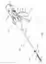 Fig. 02 - Surgical stapling instruments and staple-forming anvils