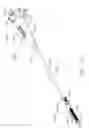 Fig. 27 - Shaft assembly comprising a clutch configured to adapt the output of a rotary firing member to two different systems