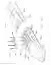 Fig. 48 - FIRING ASSEMBLY COMPRISING A FUSE