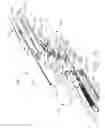 Fig. 12 - METHOD OF DEFORMING STAPLES FROM TWO DIFFERENT TYPES OF STAPLE CARTRIDGES WITH THE SAME SURGICAL STAPLING INSTRUMENT