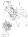 Fig. 04 - Surgical instrument with primary and safety processors