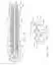 Fig. 17 - CONNECTION PORTIONS FOR DISPOSABLE LOADING UNITS FOR SURGICAL STAPLING INSTRUMENTS
