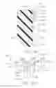 Fig. 19 - CONNECTION PORTIONS FOR DISPOSABLE LOADING UNITS FOR SURGICAL STAPLING INSTRUMENTS