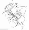 Fig. 01 - Adaptor or adaptor system for rendering medical devices functionally sterile
