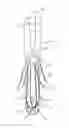 Fig. 01 - Laparoscopic morcellating receptacle and methods of use