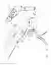 Fig. 13 - Surgical instruments