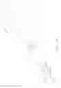 Fig. 27 - Surgical instruments