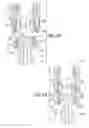 Fig. 20 - Pivotal bone anchor assembly having an open ring positioner for a retainer