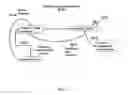 Fig. 07 - System and method for correcting malocclusion