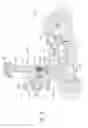 Fig. 23 - Oral irrigator with magnetic attachment