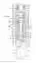 Fig. 07 - Pause valve and swivel assemblies for oral irrigator handle