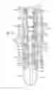 Fig. 43 - Pause valve and swivel assemblies for oral irrigator handle