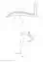 Fig. 02 - NASAL PROSTHESIS AND METHOD FOR MANUFACTURING THE SAME