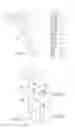 Fig. 02 - Prosthetic device with antibiotics