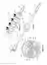 Fig. 07 - Method of air reduction in stent graft delivery device