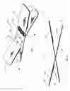 Fig. 05 - Wound closing bandage