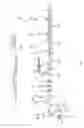 Fig. 09 - Manufacturing apparatus and manufacturing method for manufacturing absorbent article