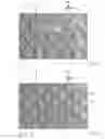 Fig. 02 - Shaped nonwoven