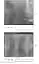 Fig. 33 - Shaped nonwoven